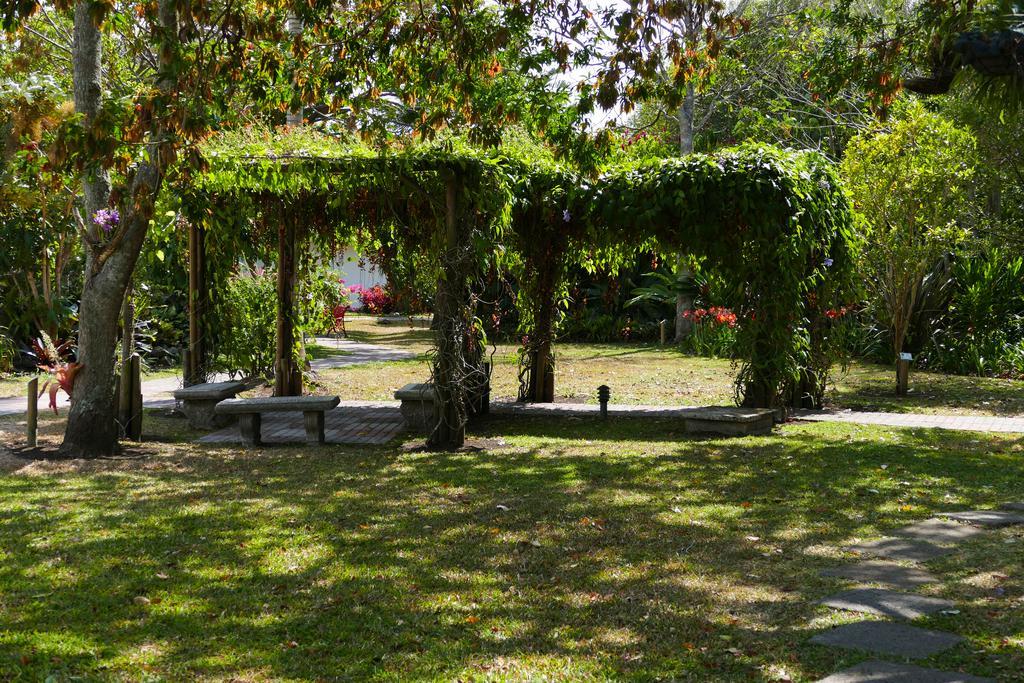 Hotel Bougainvillea San Jose Santo Domingo De Heredia Luaran gambar
