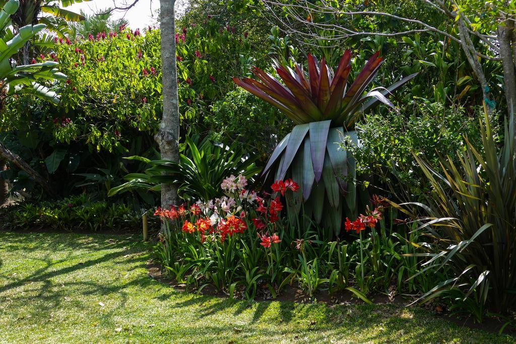 Hotel Bougainvillea San Jose Santo Domingo De Heredia Luaran gambar